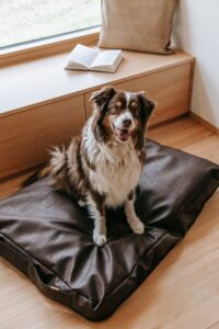 clarissakork_dog_cushion_dog_bed_dog_accessories_cork_vegan_easy_care_leather_wipe_able_anti-allergenic_dog_stuff_brown_BR