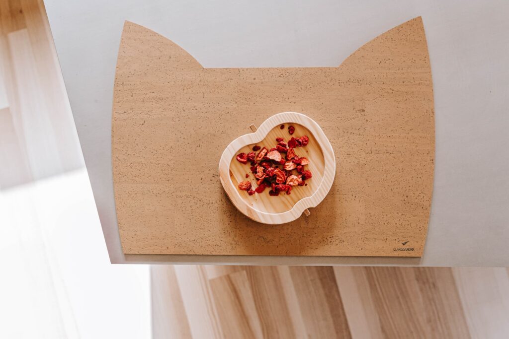 clarissakork_kinder_tischset_placemat_cork_vegan_low_care_natural_material_wipe_able_gift_for_birth_cool cat_SA