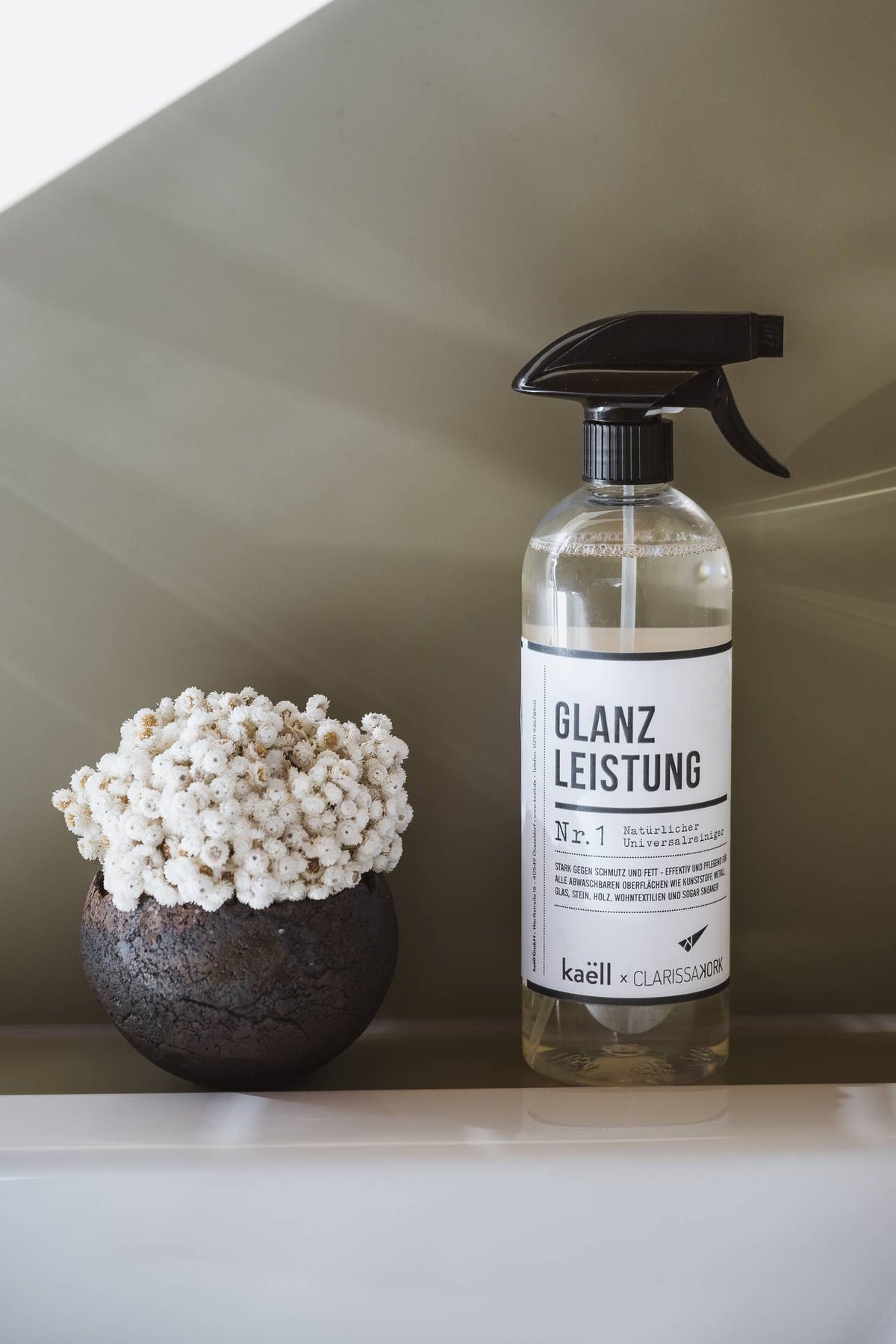 Cleaning Agent Korky Glanzleistung