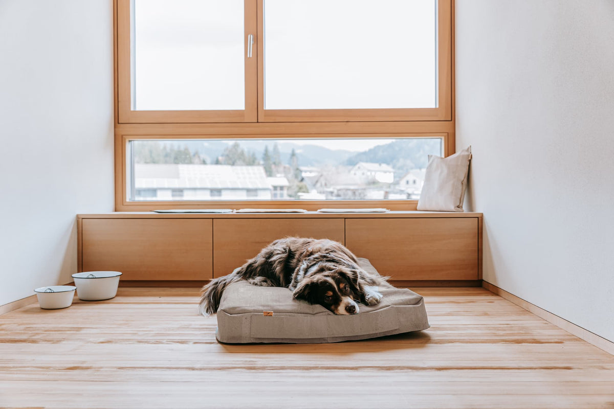 Kork Hundekissen