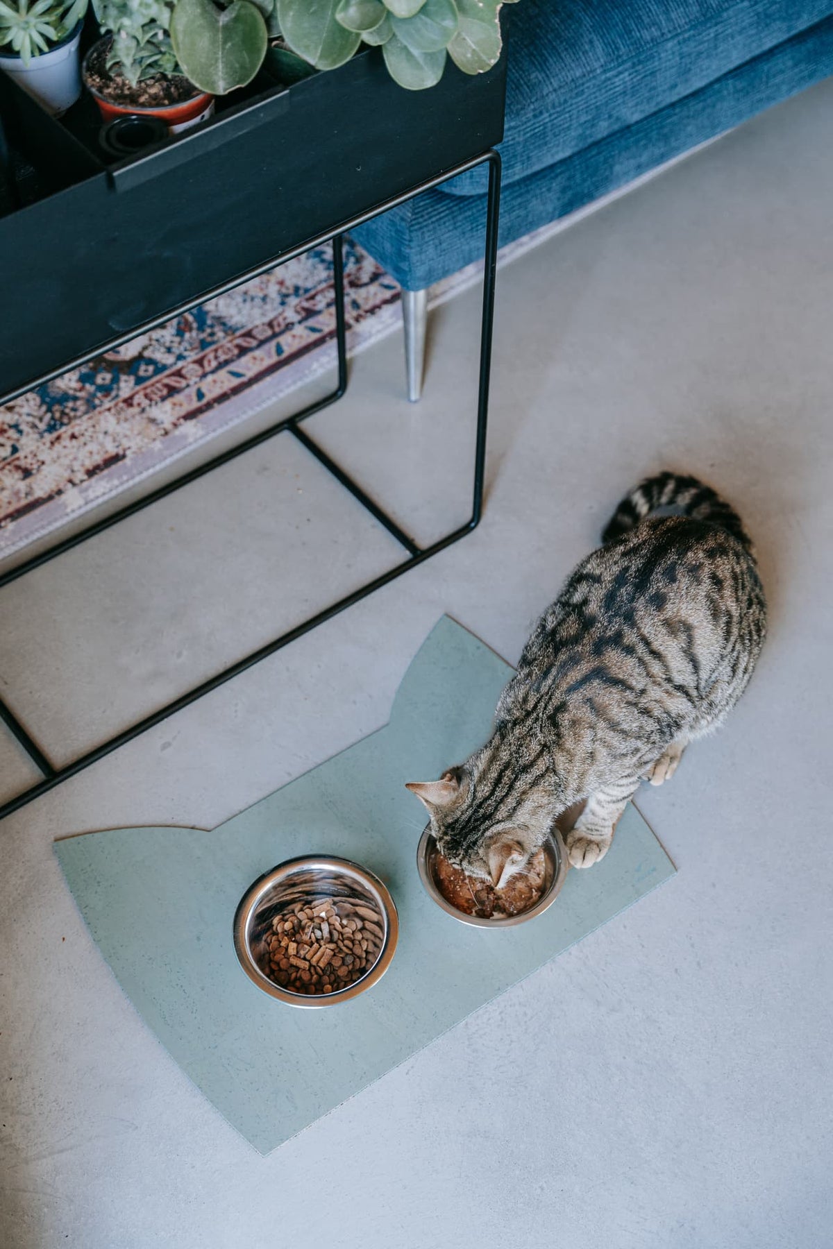 Napfunterlage Katze