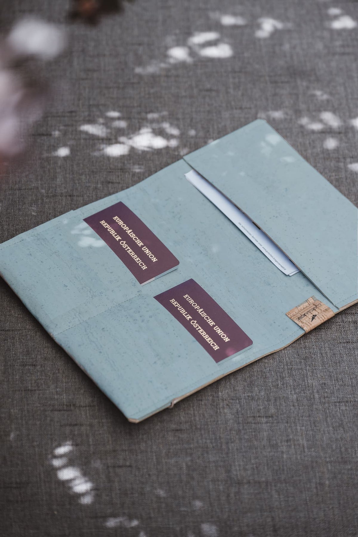 Sky travel organizer