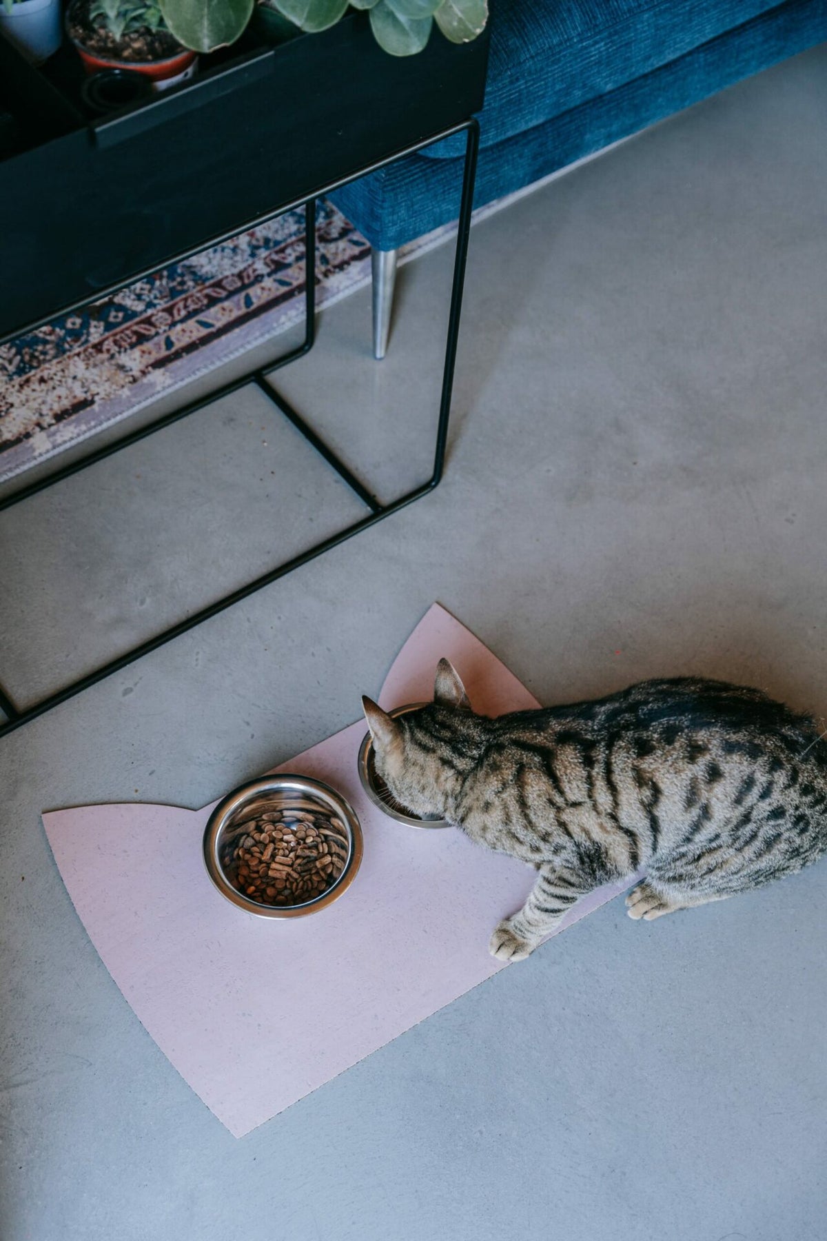 Napfunterlage Katze