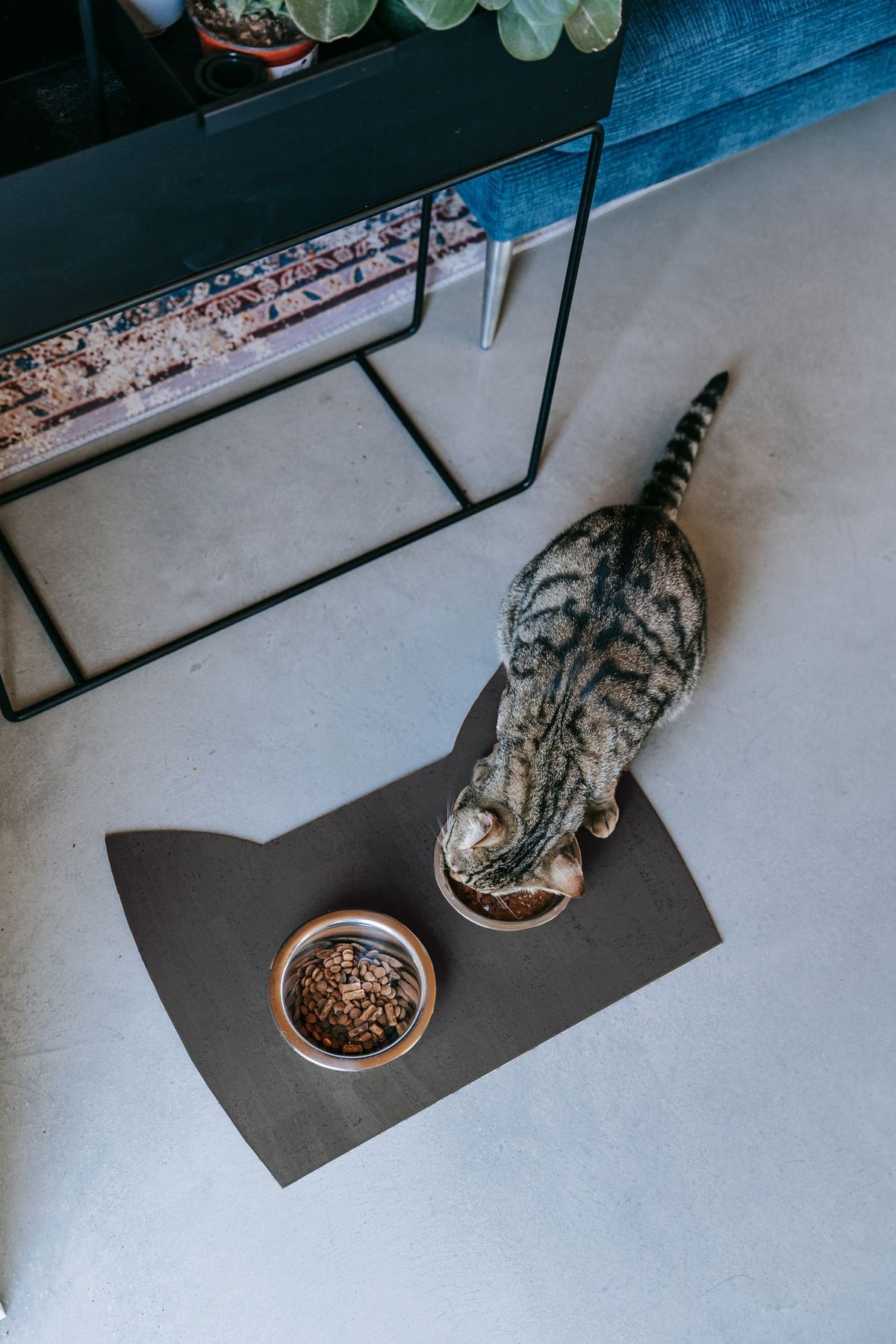 Napfunterlage Katze