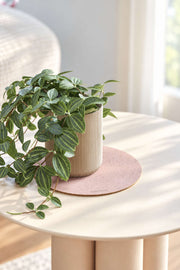 Blumentopfunterlage Flora S