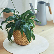 Flora L flower pot base