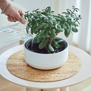 Blumentopfunterlage Flora M
