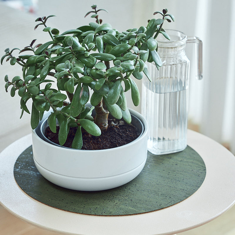 Blumentopfunterlage Flora M