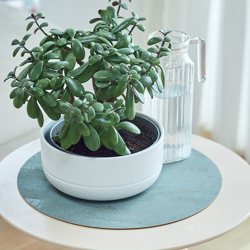 Plant Pot Mat Flora S