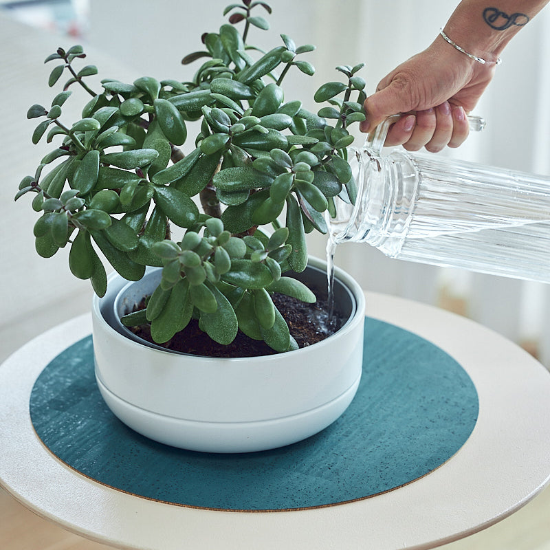Blumentopfunterlage Flora S