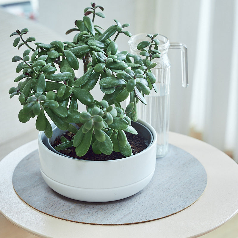 Plant Pot Mat Flora S