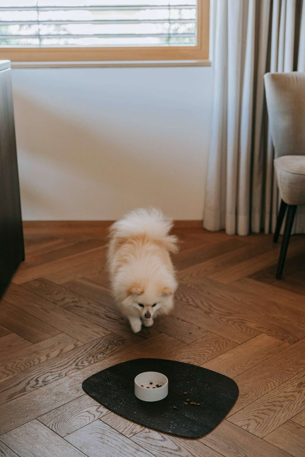 Napfunterlage